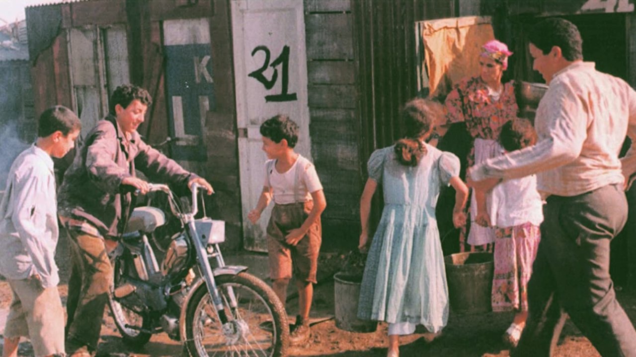 The Kid from Chaaba Movie Screenshot 5