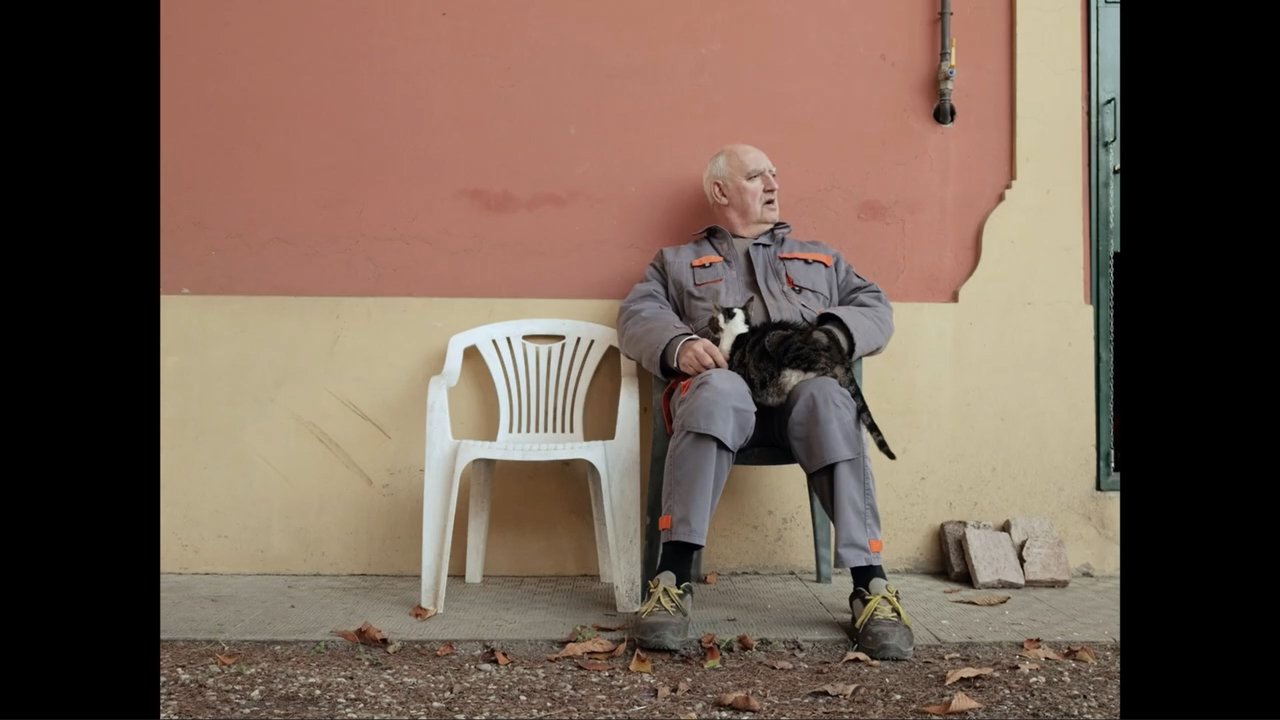 Into Hibernation Movie Screenshot 1