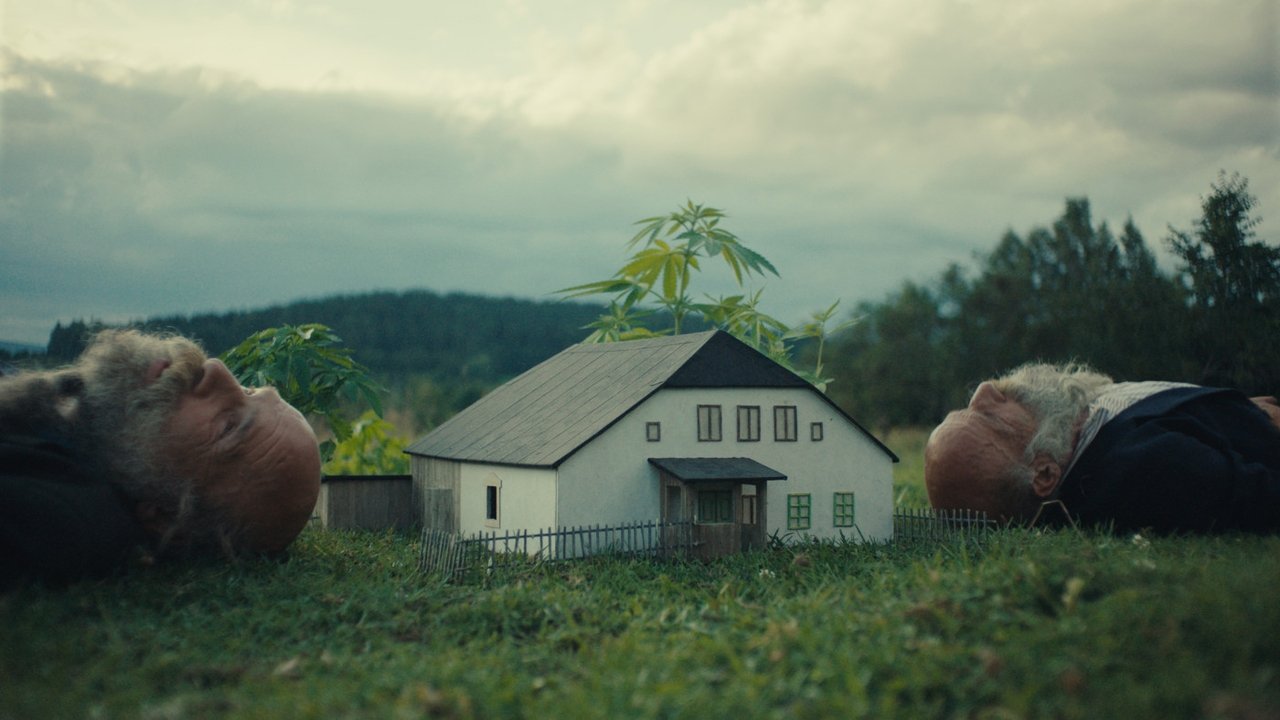 Better Go Mad in the Wild Movie Screenshot 1