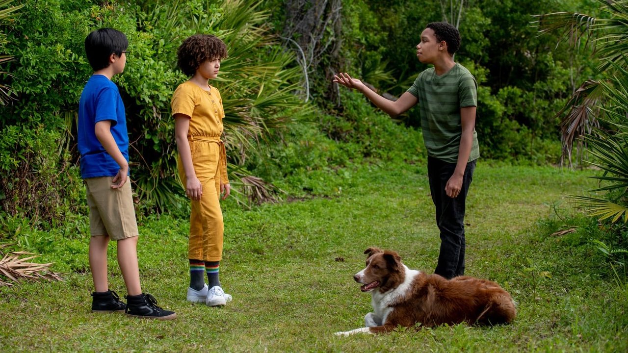 Pet Investigators Movie Screenshot 1