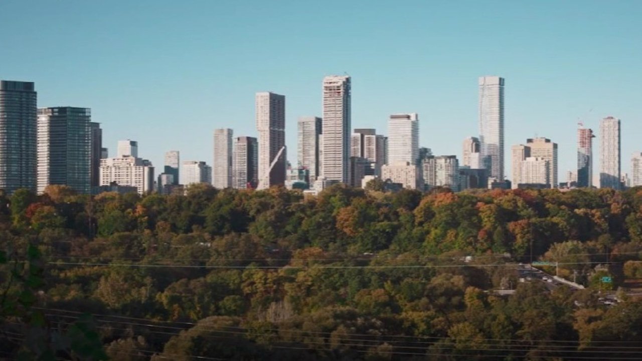 Urban Forests Movie Screenshot 2
