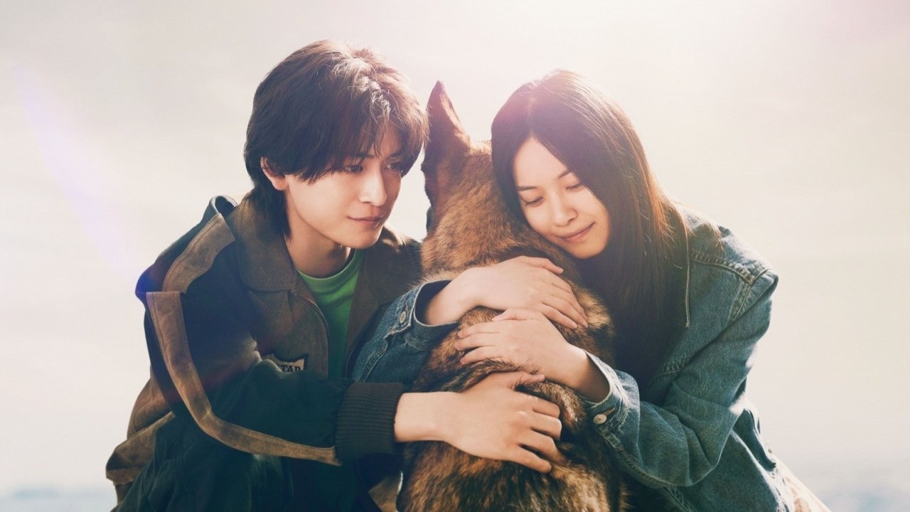 The Boy and the Dog Movie Screenshot 1