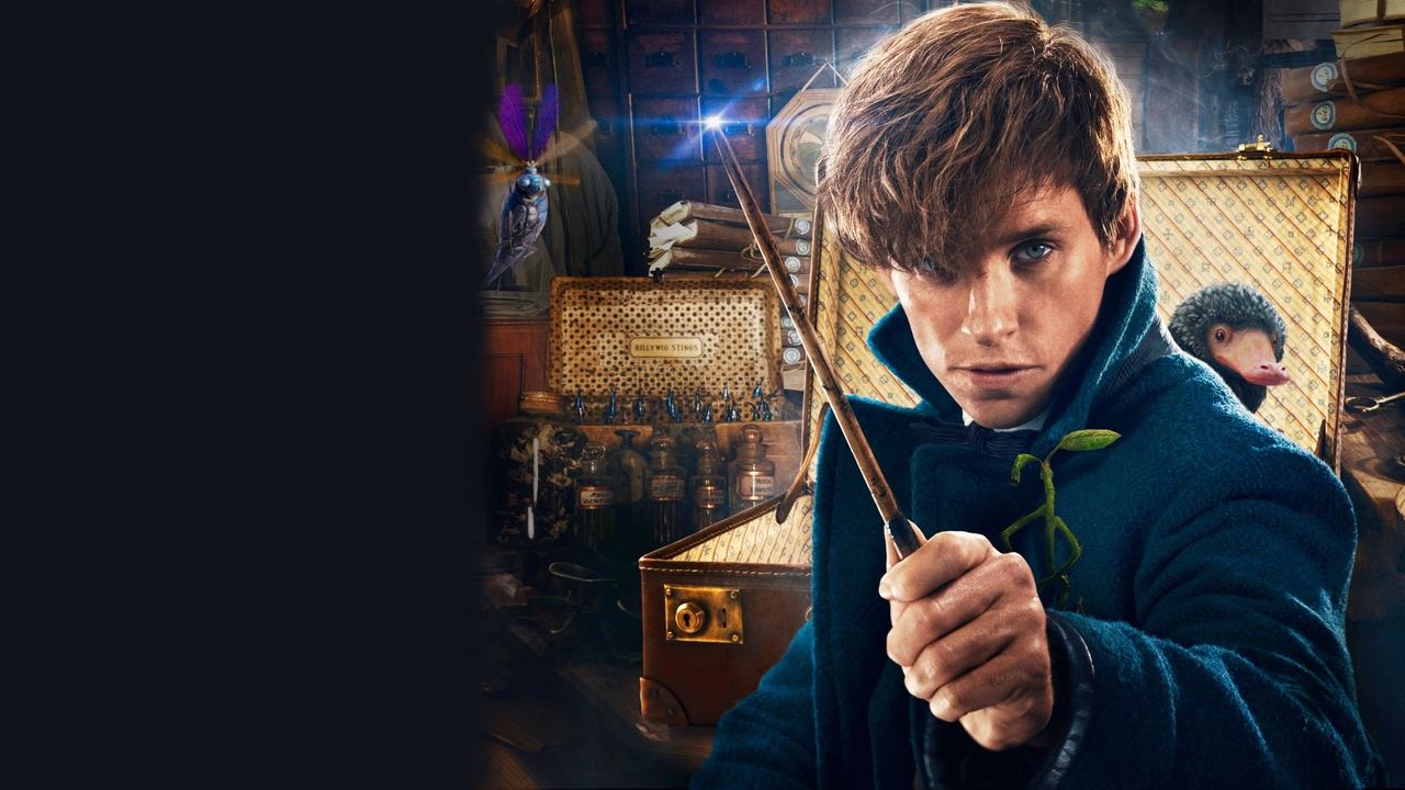 Fantastic Beasts and Where to Find Them Movie Screenshot 4