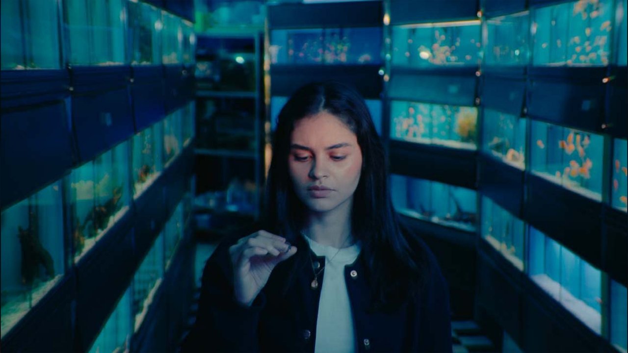 Lacuna Movie Screenshot 2