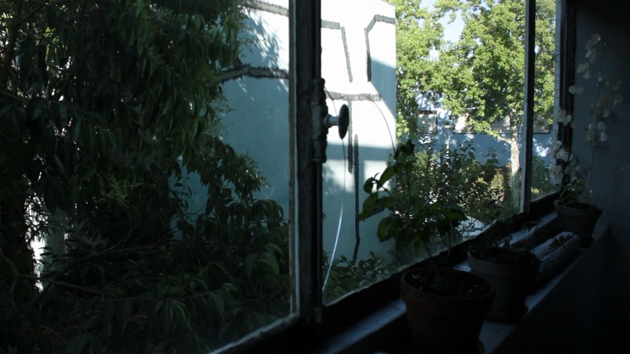 Song From A House Movie Screenshot 2