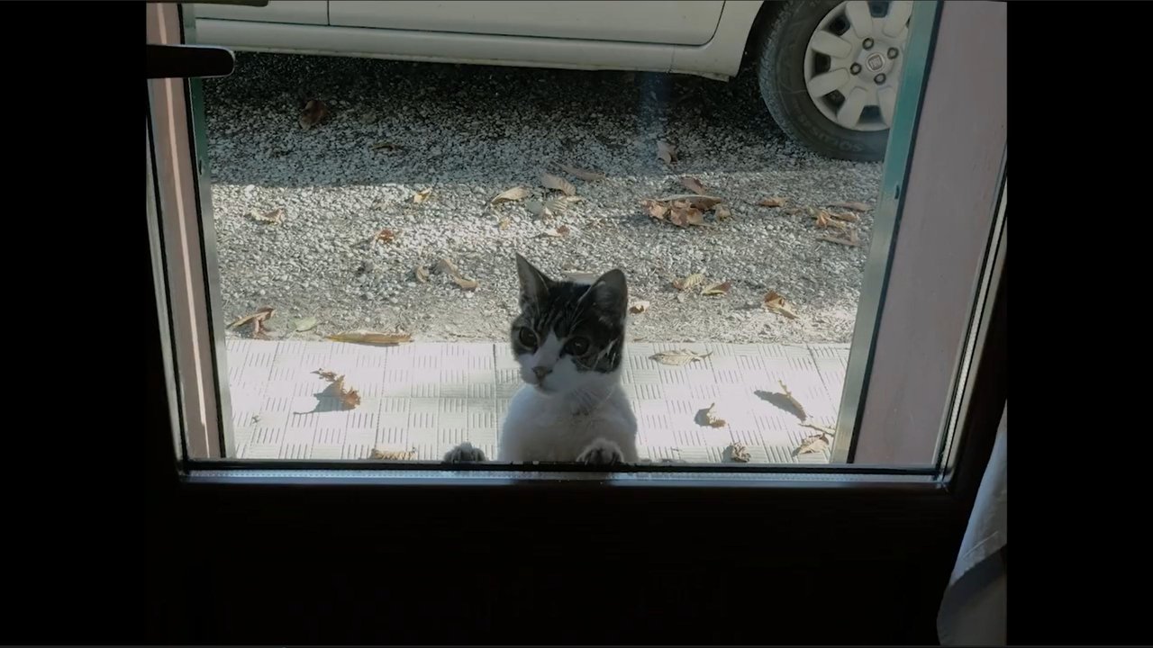 Into Hibernation Movie Screenshot 3