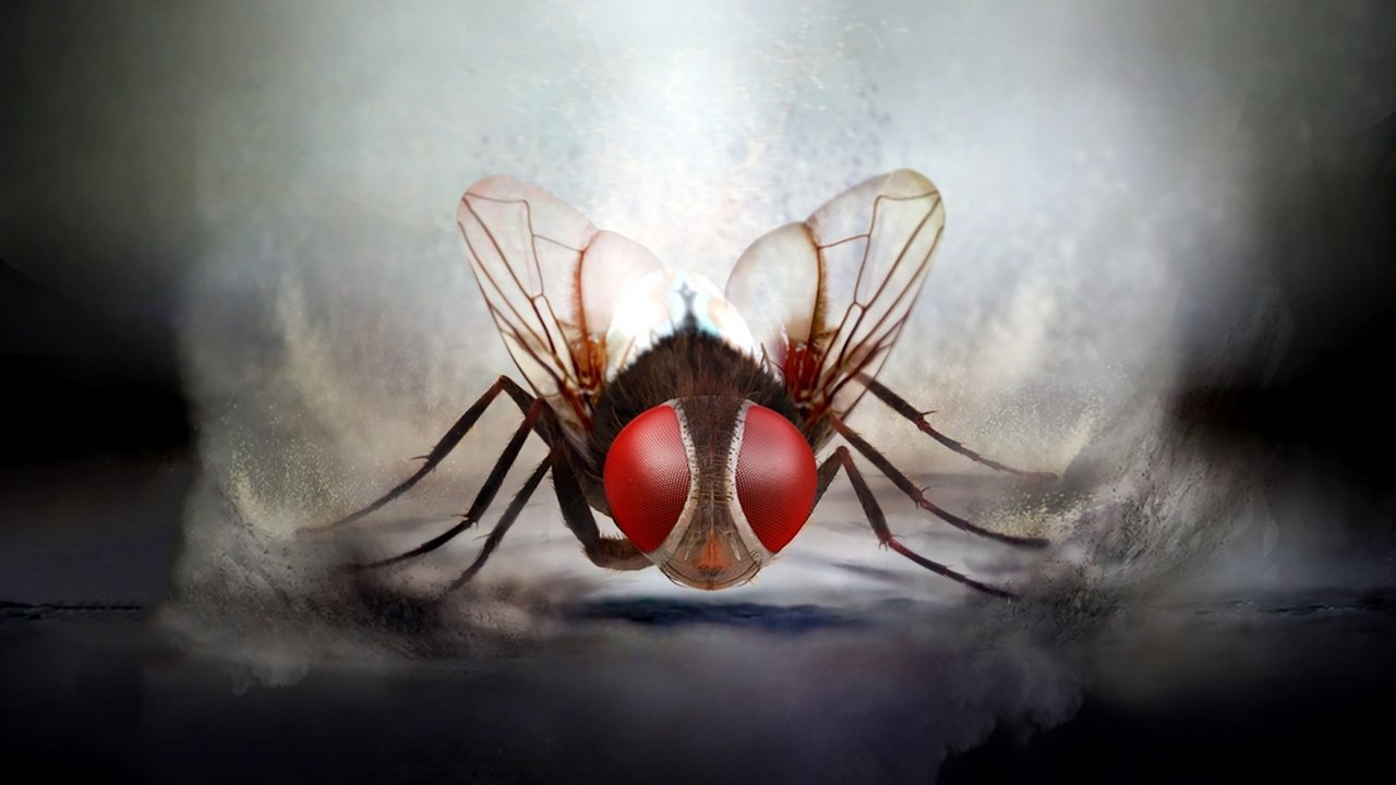 Eega Movie Screenshot 1