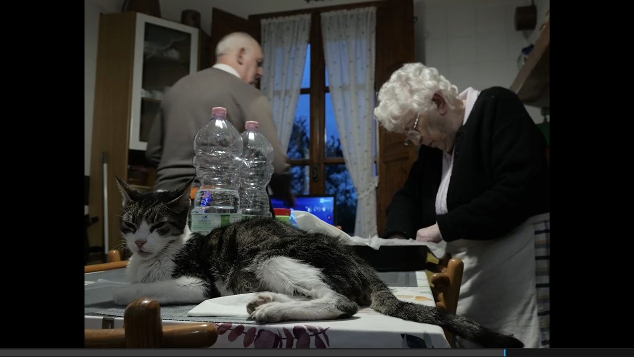 Into Hibernation Movie Screenshot 2