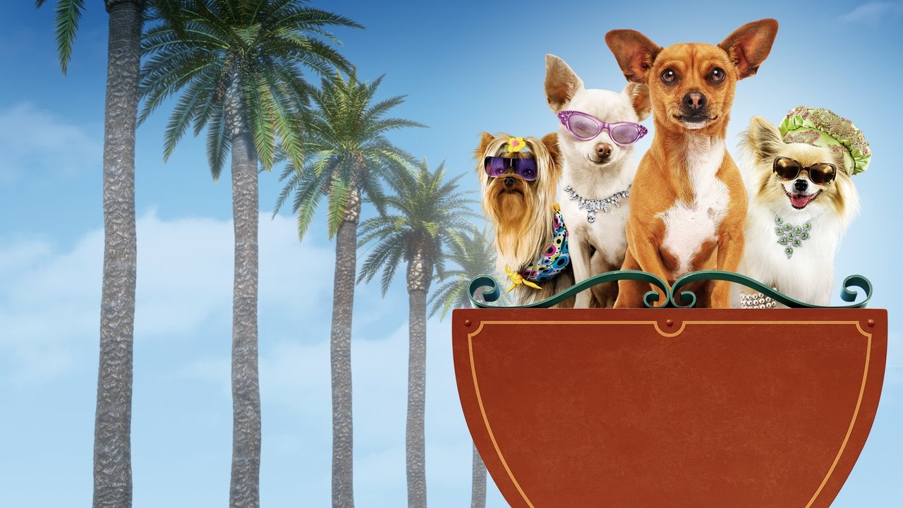 Beverly Hills Chihuahua Movie Screenshot 1