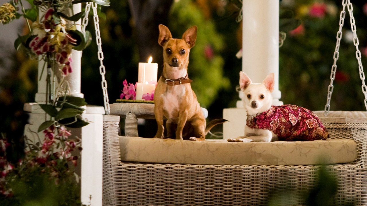 Beverly Hills Chihuahua Movie Screenshot 3