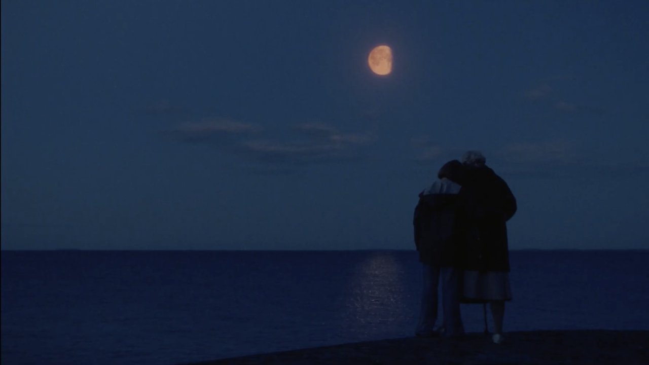 The Summer Book Movie Screenshot 1